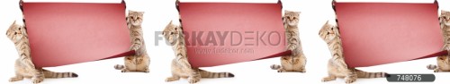 Mutfak-tezgah-arasi-cam-panel-model-furkay-HV-26- 