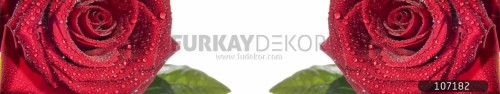 Mutfak-tezgah-arasi-cam-panel-model-furkay-FL-137