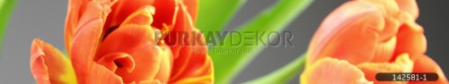 Mutfak-tezgah-arasi-cam-panel-model-furkay-FL-78
