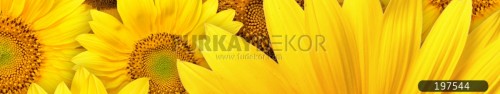 Mutfak-tezgah-arasi-cam-panel-model-furkay-FL-95